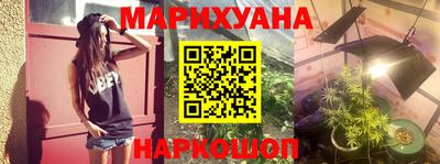 ALPHA PVP Гатчина