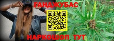 ALPHA PVP Гатчина
