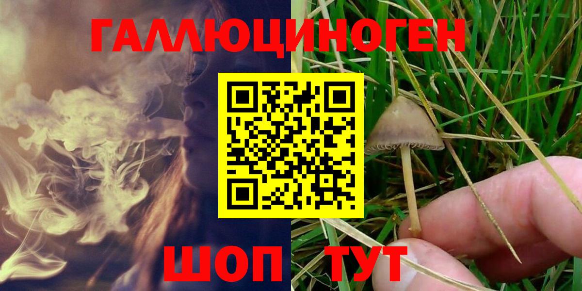 Псилоцибиновые грибы ЛСД Муравленко