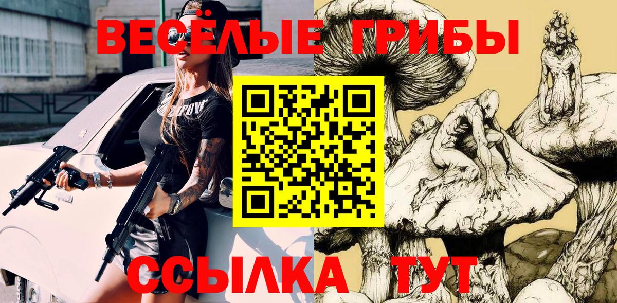 Муравленко  Псилоцибиновые грибы Psilocybe  Вход с VPN 