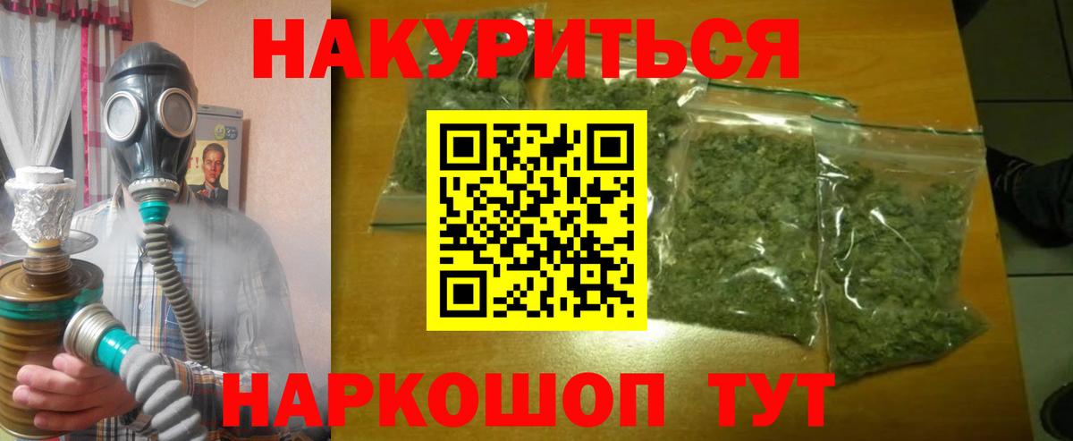 Конопля сатива Муравленко